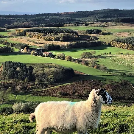Bilsdale