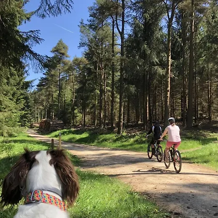 Casa de Férias Bilsdale