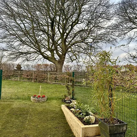 Bilsdale * Helmsley