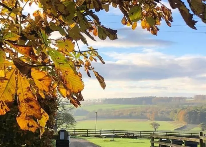 Bilsdale Tatil Evi Helmsley