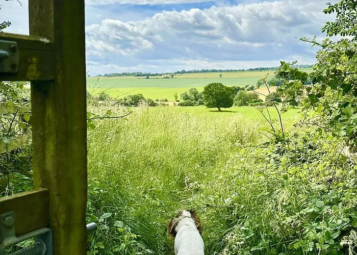 Bilsdale Tatil Evi Helmsley